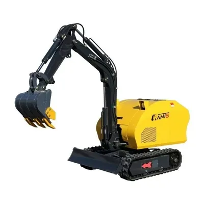 Mini ekskavatoriaus pasirinkimo ir pirkimo vadovas